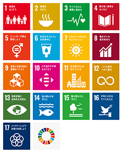 SDGs_icon